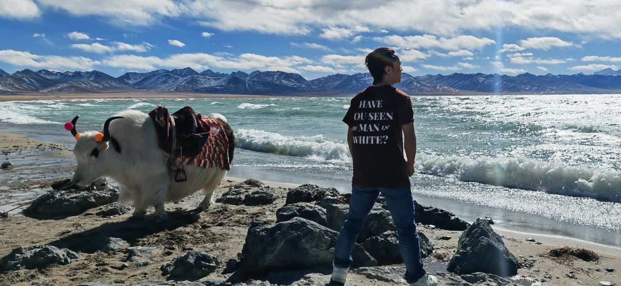 Hanes Man in White T-Shirt - 4 Languages